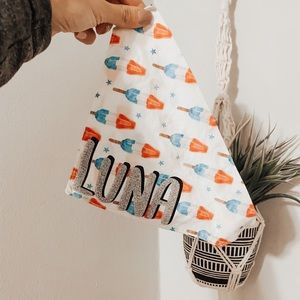 Dog bandana with popsicles on it